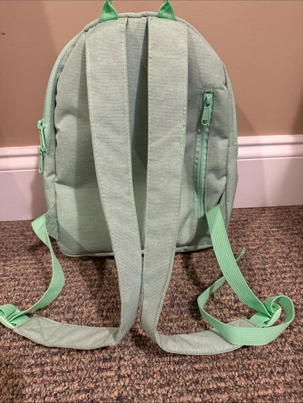 Dakine Mini Backpack in Mint